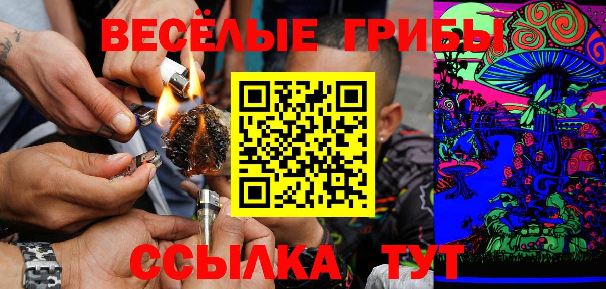Псилоцибиновые грибы GOLDEN TEACHER Курчалой